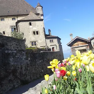 https://la-pointe-dyvoire.hotels-rhonealpes.com
